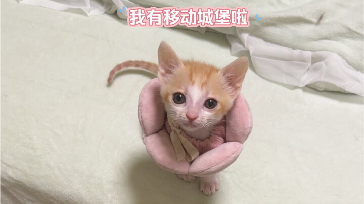 "Little Nose's Moving Castle"