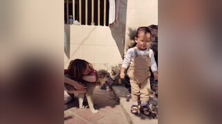 Cho mẹ Dứa và Dứa lên sóng cùng Bông. cunyeucuadua yeucho yeuchomeo cún cúncon chó chómèo chócon chókhôn yeuchomeo chócute dogsoftiktok