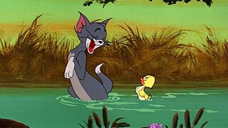 【Cat and Mouse】☝🤓 Tom is my mother⚡⚡⚡