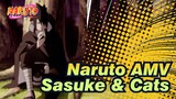 [Naruto AMV] Sasuke & Cats