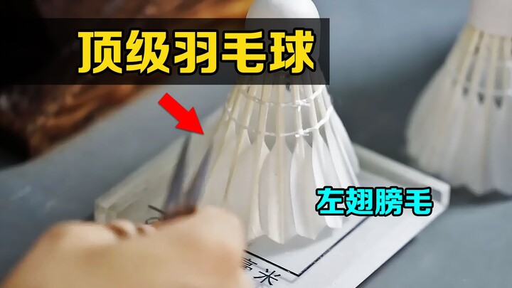 暗藏玄机的羽毛球，从大鹅的左翅膀上拔毛，为什么最好？