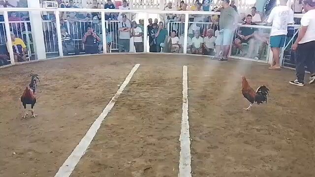 3cock JEMZ 1stfytwin using 5k swtr