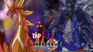 Chiến Binh Bakugan SS1 [Japanese] Vietsub -Tập 37 | Bakugan Battle Brawlers