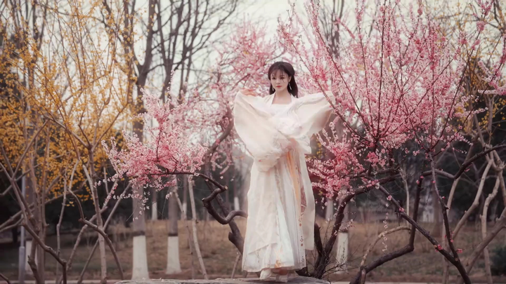 Di bawah bunga-bunga di jalan selatan Kota Timur, aku bertemu dengan orang idealku