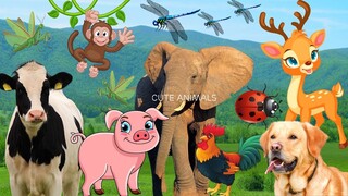 Funny farm animal moments: Elephant, Dairy Cow, Dog, Chicken, Pig, Ladybug, Deer ... - Animal sounds