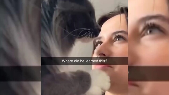 cat rizz 😼 episode 1