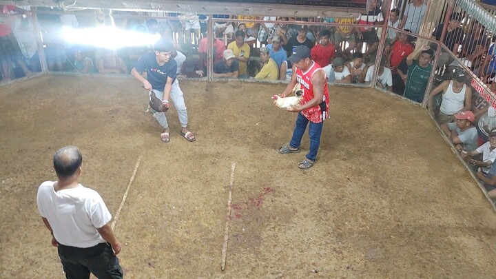 bakla vs lasak