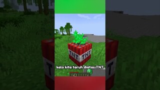 Minecraft, tapi aku bisa TRADE dengan Block!