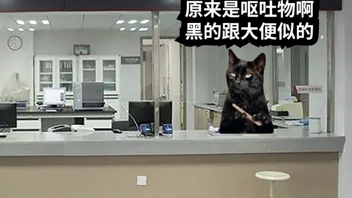 【มีมแมว】กะกลางคืนในมุมมืดของห้องทดลอง