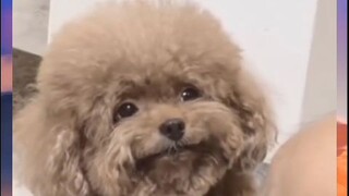 bagaimana bisa melupakan masa lalu jika masa depannya belum ada 🥲