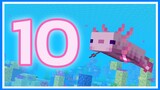 10 เรื่องน่ารู้เกี่ยวกับ ปลาตีนเม็กซิโก (Axolotl) ในเกม Minecraft