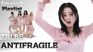 Video nhảy "LE SSERAFIM - ANTIFRAGILE" của nhóm nhạc nữ thế hệ thứ năm TRI.BE đã được phát hành!