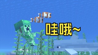 海龟帽