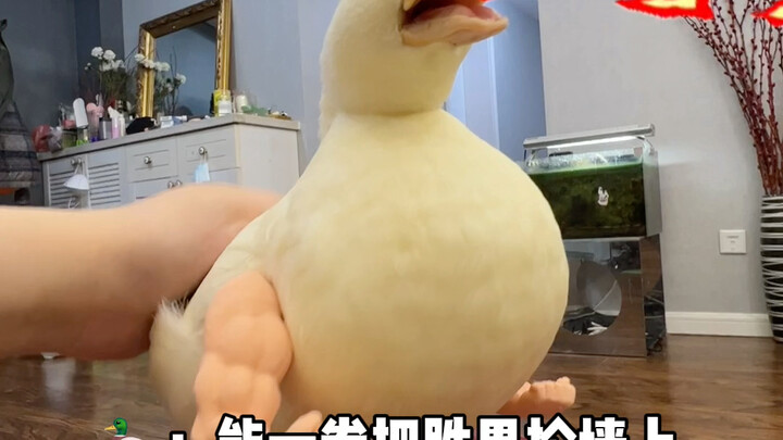 Who came up with this?