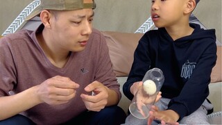 没想到鸡蛋真的会跳。