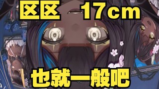 17cm的？没多大感觉也就那样吧