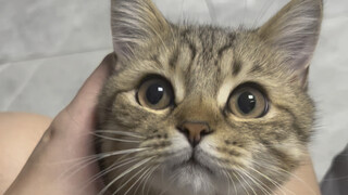 First of all, this is what my face looks like, but my height…