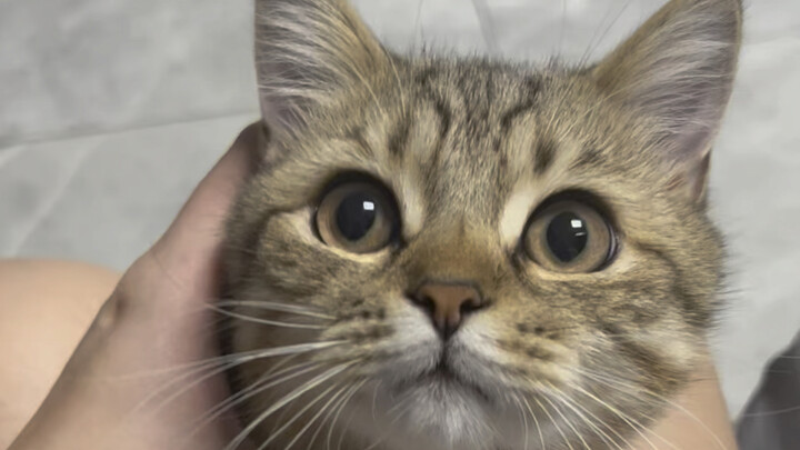 First of all, this is what my face looks like, but my height…