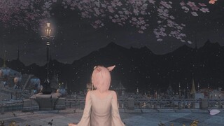 【FF14】Dome Night View｜House 17 Amway｜Courtyard decoration of m room