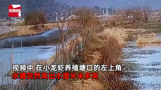 男子家水塘突然升高半米 看监控发现一幕当场惊讶不已