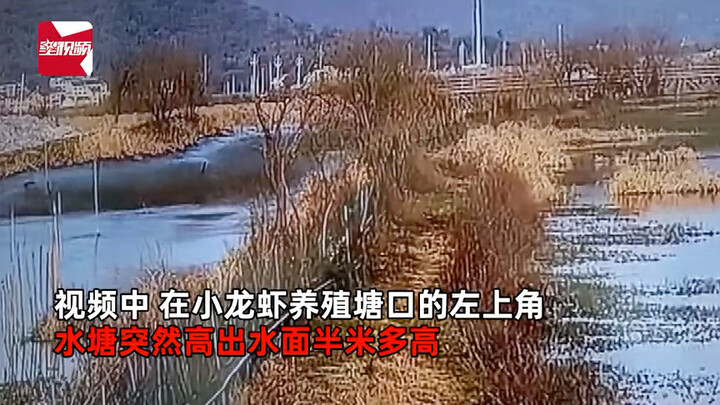 男子家水塘突然升高半米 看监控发现一幕当场惊讶不已