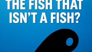 “Not a Fish, Not Friendly… What Is This Thing?!”