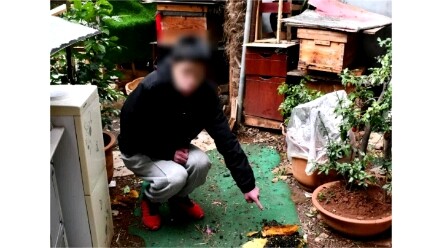 Expand Your Horizons Every Day (2022.03.17)