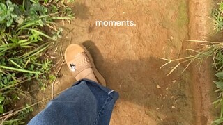 Visit our farm in the mountain 🌳🎋