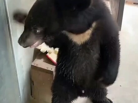 Here we go again, sneaking in quietly.