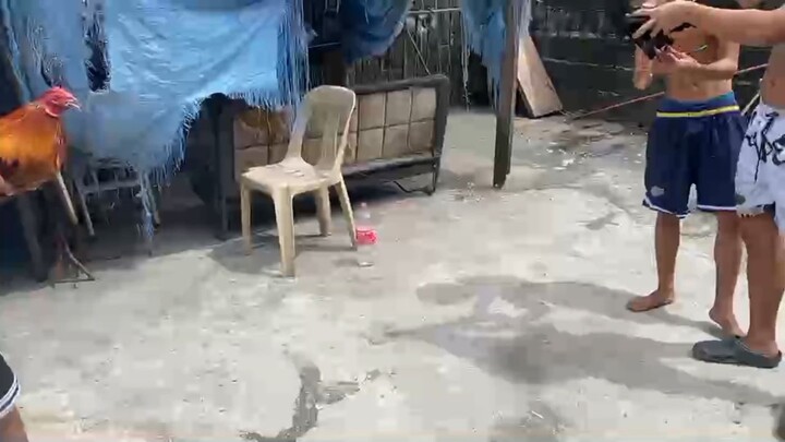 malatuba super micro mestisong panot