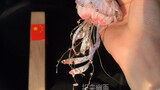 Jellyfish, Intangible Cultural Heritage Velvet Flower