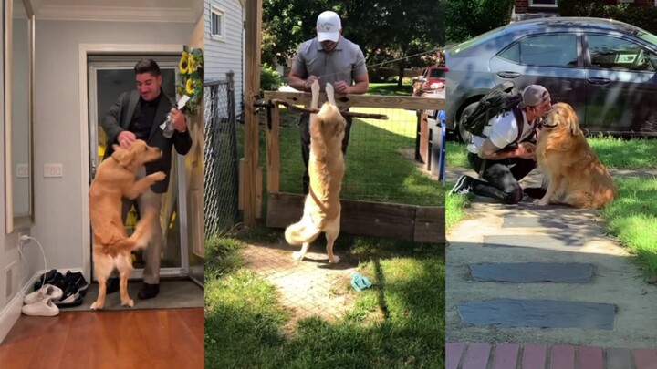 Cún con: Ba ơi, cuối cùng ba cũng về nhà rồi! Con đợi lâu lắm rồi, giờ phải chơi với con trước đã!