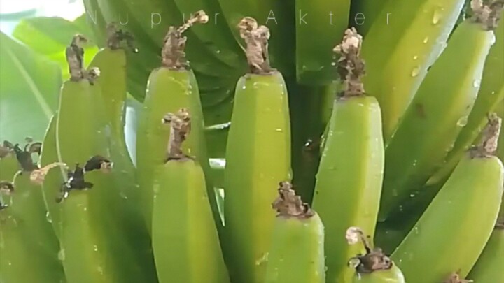 Amazing 🥰