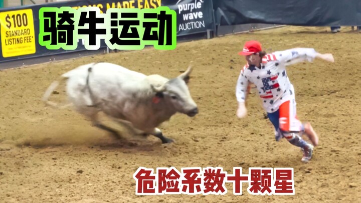 Olahraga menunggang sapi yang berbahaya