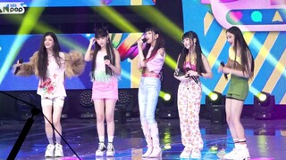 Selamat atas empat kemenangan berturut-turut sejak debut! Penampilan encore langsung Newjeans Attent