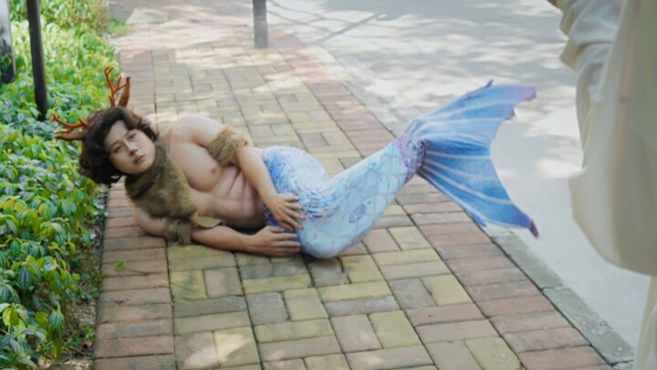 Giám đốc, sao anh lại khổ thế này?