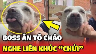 Boss mỗi ngày ĂN CHÁO phải nghe "LIÊN KHÚC CHỬI" của con Sen 😂 | Yêu Lu