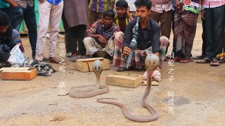 【诡秘之主】当我看诡秘之主的时候，我在想什么 2.0