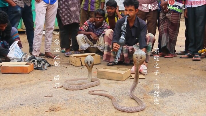 【诡秘之主】当我看诡秘之主的时候，我在想什么 2.0