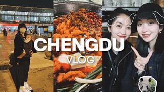 CHENGDU VLOG｜Surprise Return to China! The Relaxed Life in Chengdu—A Bowl of Noodles Every Morning｜V