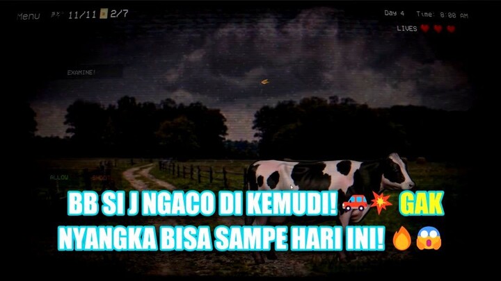 Ketegangan Mengecek Sapi Di Tengah Malam