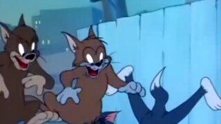 นี่คือ MV ต้นฉบับของเพลง "If You Are Three Winters"!