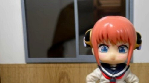 Xin hãy lắng nghe lập luận của tôi