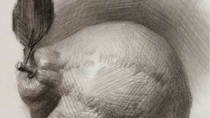 [Teknik Garis untuk Sketsa Benda Mati] Jeruk