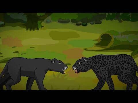 BLACK PANTHER VS BLACK JAGUAR ANIMATION
