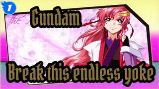 Gundam|[SEED]Please give us the power to break this endless yoke!_1