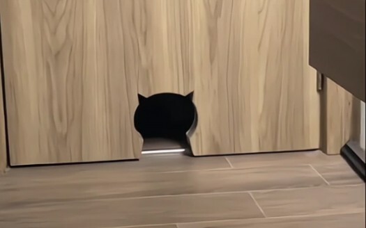This cat-hole model is very...