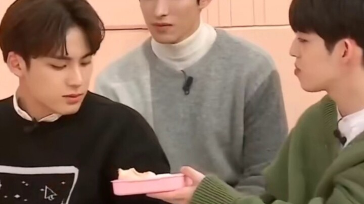 [SEVENTEEN] Even dogs won't eat it.