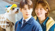 A Good Day to be a Dog Episode 12 Tagalog Dubbed