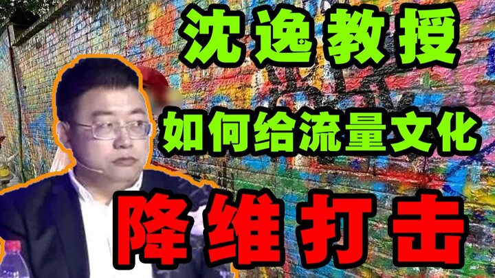 沈逸老师如何对流量文化进行降维打击？互联网安全面临何种危机？【独树一帜54】